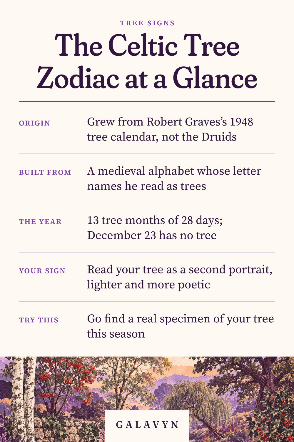 Galavyn cheat sheet: The Celtic Tree Zodiac at a Glance